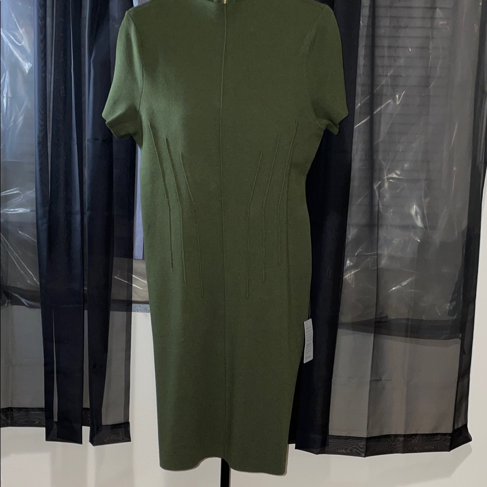 Eliza J Olive Green Midi Dress